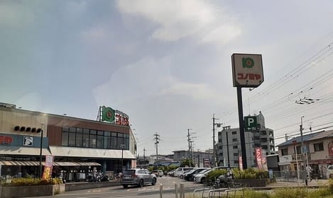 Naikan15 20250717000000
