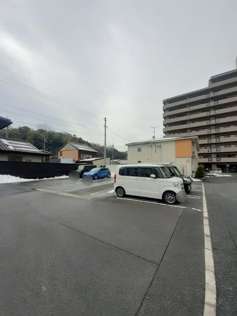 Naikan11 20240131000000