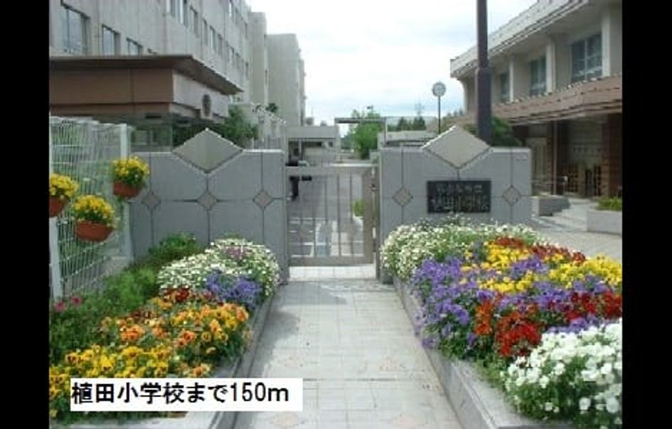Naikan17 20170717000000 945x630