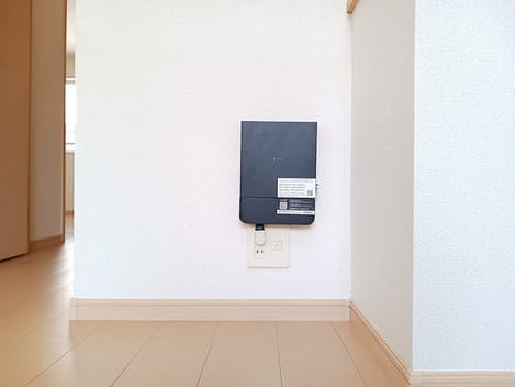 Naikan11 20260824000000