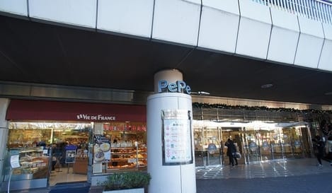 Naikan15 20260824000000