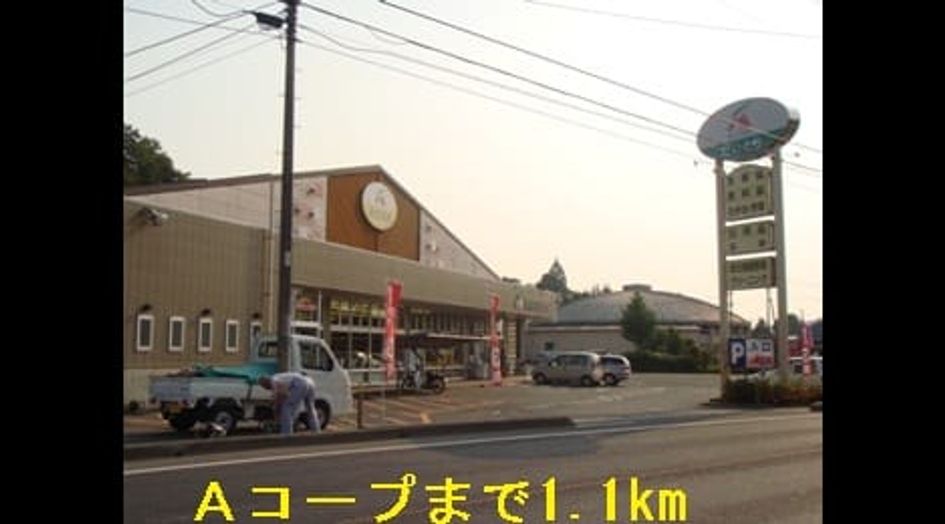 Naikan13 20140609000000 945x630