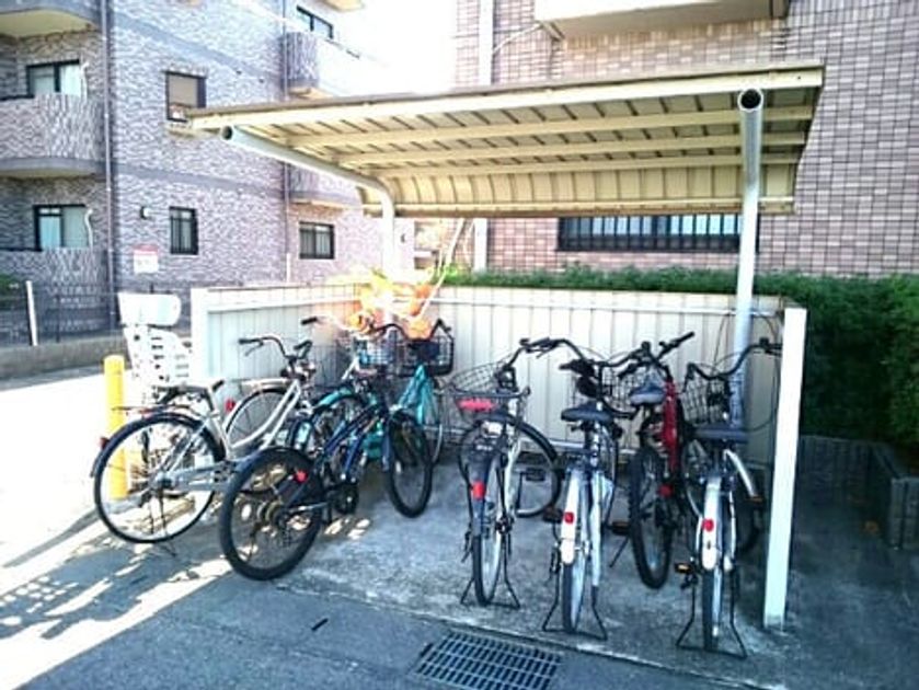 Naikan8 20210225000000 945x630