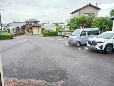 Naikan11 20250611000000