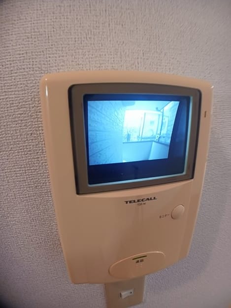 Naikan11 20241106000000