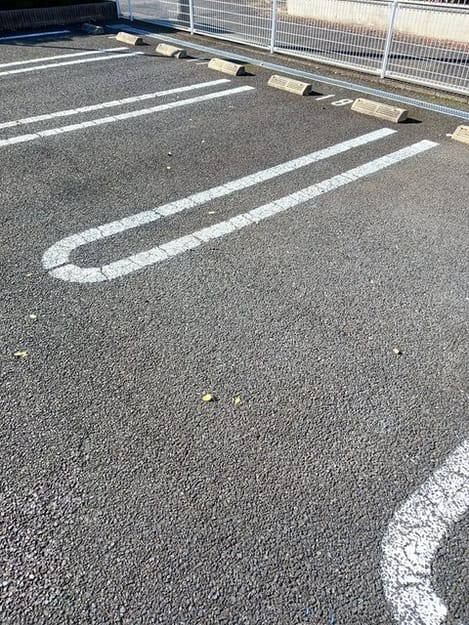 Naikan11 20241206000000