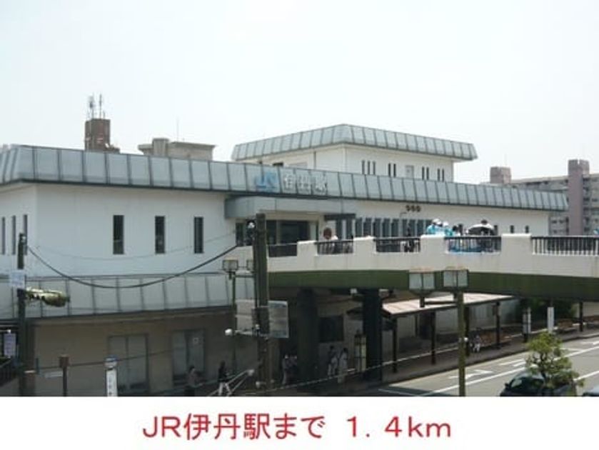 Naikan13 20200802000000 945x630