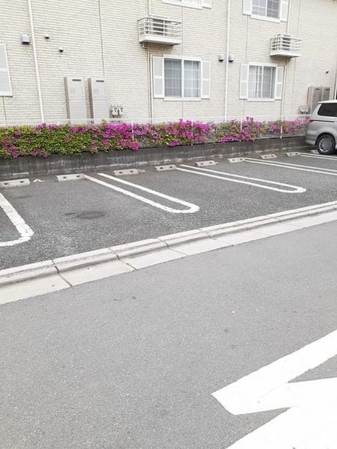 Naikan11 20230425000000 945x630