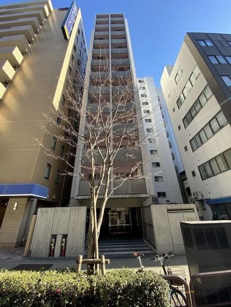 Naikan18 20250905140347 945x630