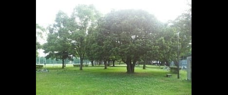 Naikan18 20200115000000