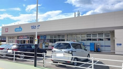 Naikan14 20241111000000