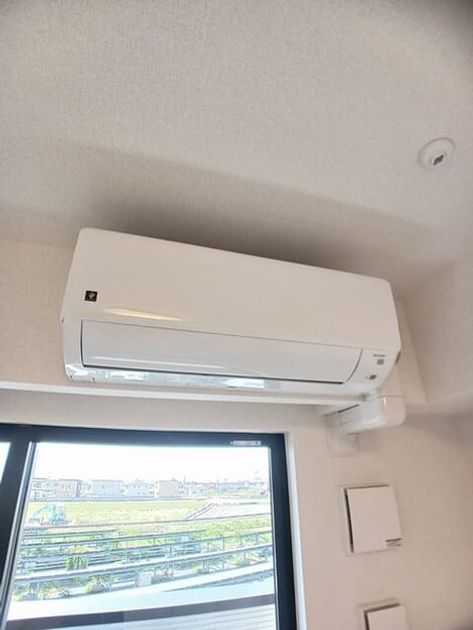 Naikan10 20250409000000 945x630