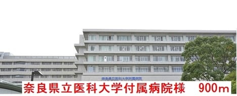 Naikan15 20190614000000