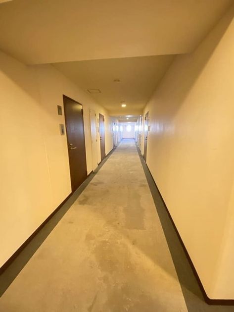 Naikan23 20250612174139 945x630