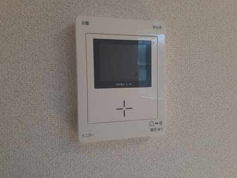 Naikan11 20250210000000