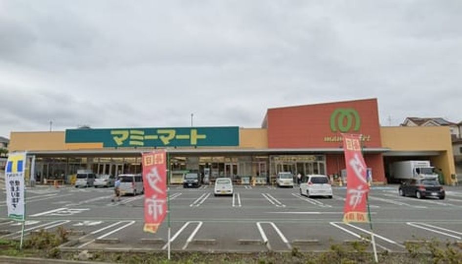 Naikan13 20210208000000 945x630