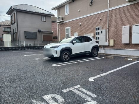 Naikan11 20250203000000