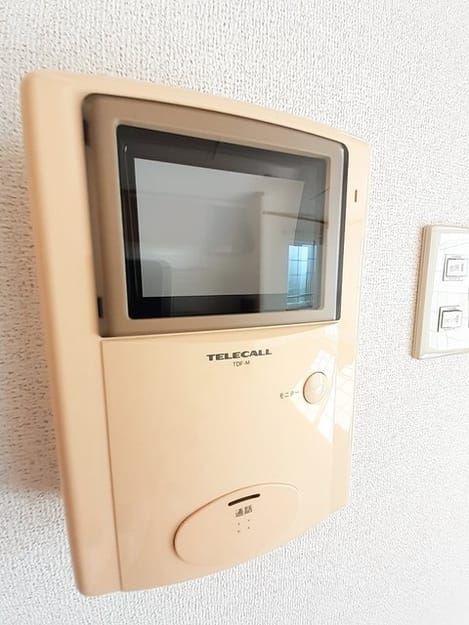 Naikan9 20241029000000
