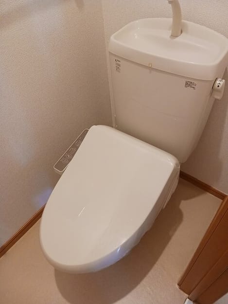Naikan8 20250619000000