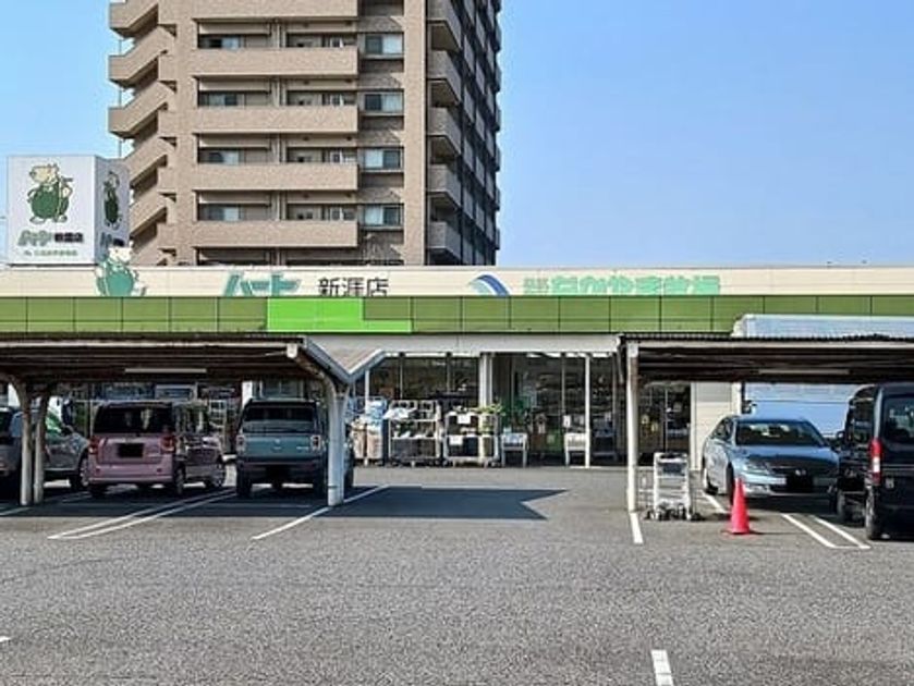 Naikan13 20260820000000 945x630