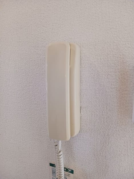 Naikan10 20250707000000
