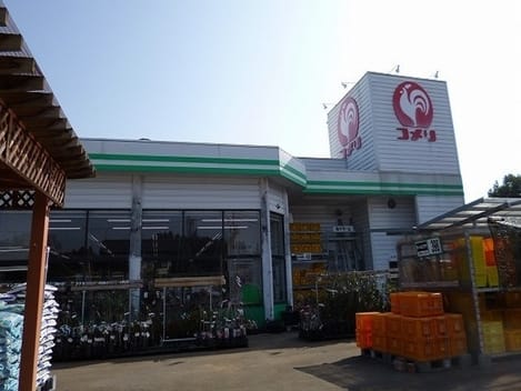 Naikan13 20211116000000