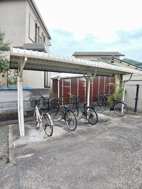 Naikan11 20251016000000 945x630