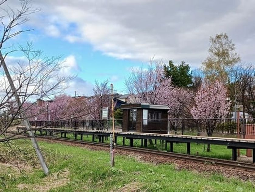 Naikan18 20260428000000 945x630