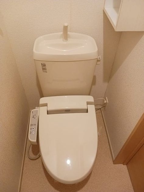 Naikan6 20251027000000 945x630
