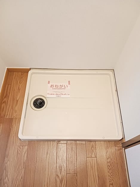 Naikan7 20260805000000
