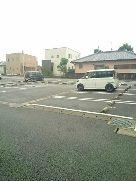 Naikan10 20200618000000