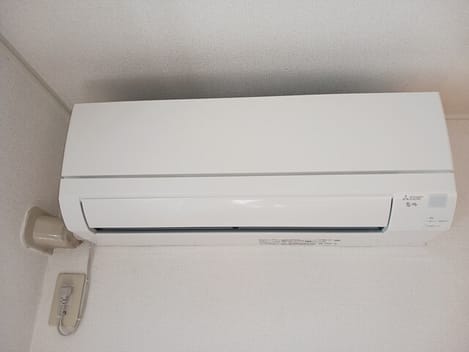 Naikan8 20260119000000