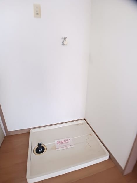 Naikan8 20260303000000