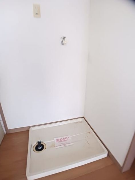 Naikan8 20260303000000 945x630