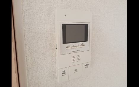 Naikan11 20260212000000