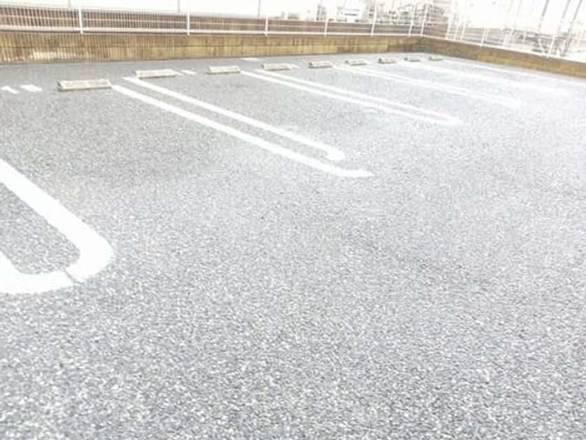 Naikan11 20260303000000 945x630