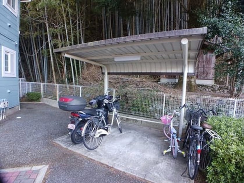 Naikan11 20260317000000 945x630