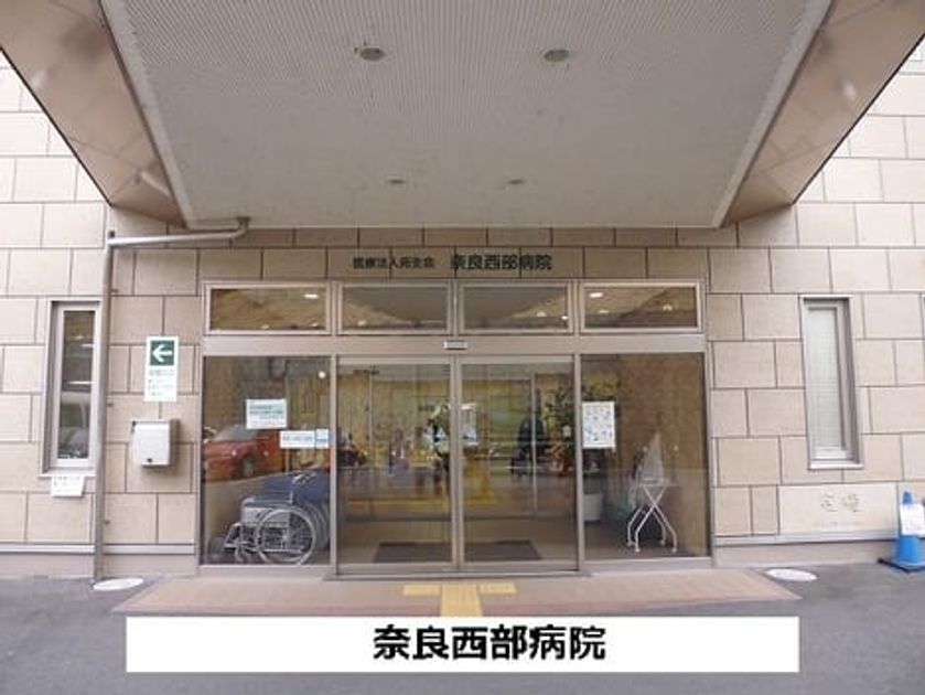 Naikan18 20250305000000 945x630