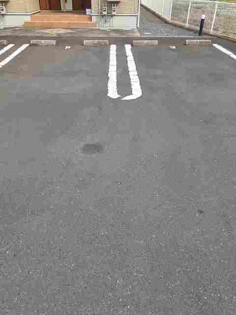 Naikan11 20210603000000