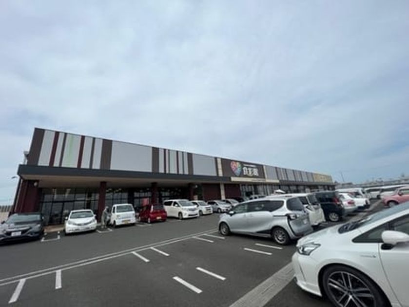 Naikan13 20230319000000 945x630