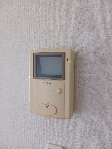 Naikan11 20260525000000