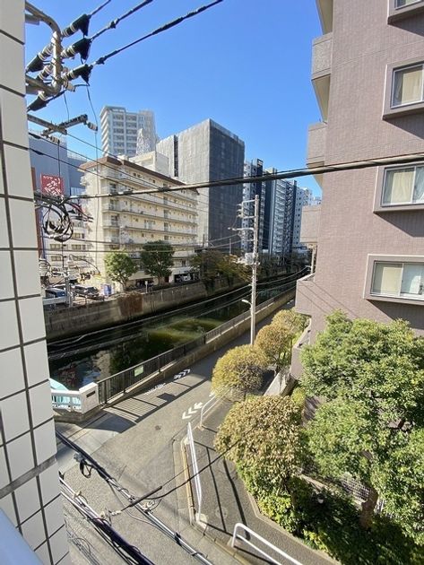 Naikan23 20260123212638 945x630