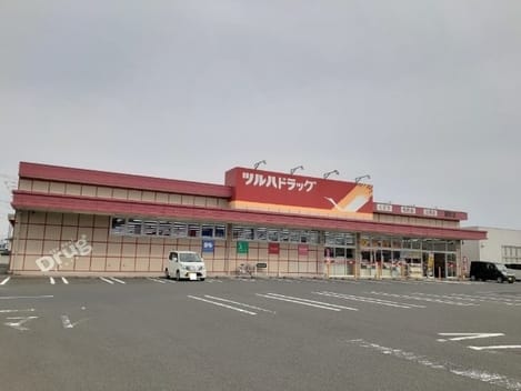 Naikan17 20260219000000