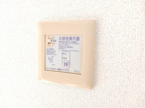 Naikan12 20250120000000