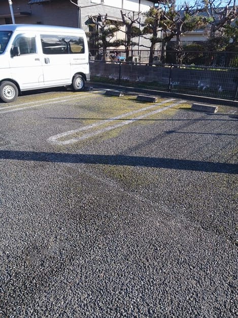 Naikan9 20260304000000