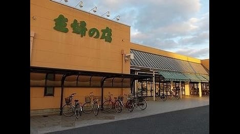 Naikan15 20201107000000