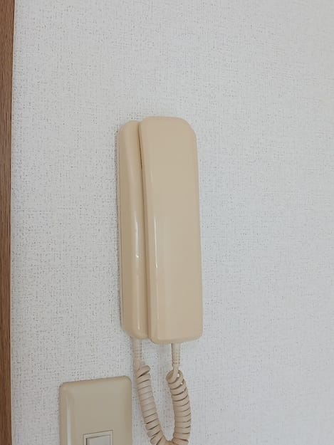Naikan12 20260618000000