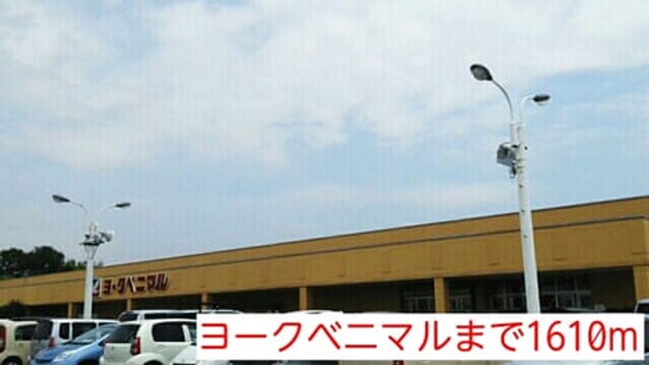 Naikan14 20150210000000 945x630