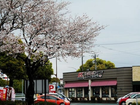 Naikan13 20240712000000