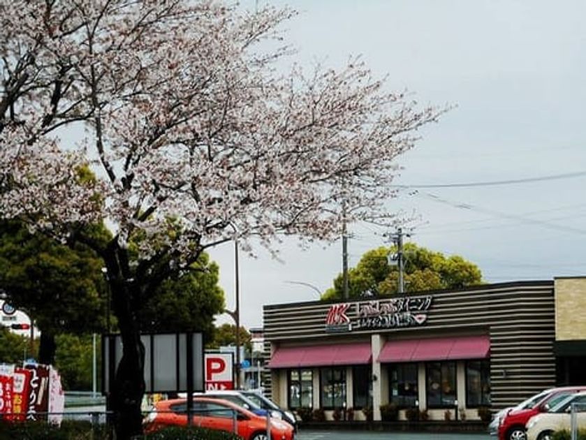 Naikan13 20240712000000 945x630